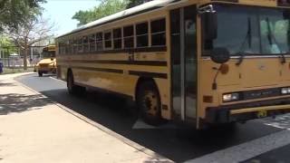 The Long term Impacts of Bullying