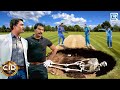 Cricket Ground में CID Team को मिला अनोखा सुराग  | CID | CRIME |Full Episode | HD