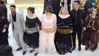 halparke zamawan Rojhelat (The best Kurdish wedding and dance)