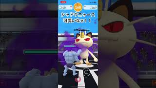 シャドウニャース討伐！【＃レイドバトル #ポケgo #ポケットモンスター #ポケモンgo #ポケモン #Pokémon #レイドバトル 】