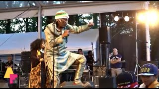 Alpha Blondy- Brigadier Sabari - LIVE at Afrikafestival Hertme 2018