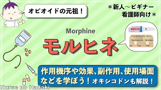 【モルヒネを詳しく学ぼう！】作用機序や効果､副作用､使用場面などについて理解しよう！