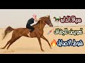 # فلوق (29) سباق الخيل في الداره | وتعويض الجفاف 🙏