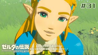 【ゼルダの伝説】姫様、いい顔して喋れるじゃん！【ブレスオブザワイルド】 #31