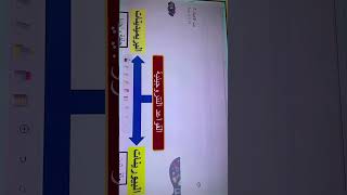 مراجعه احياء سهره ليله الامتحان 2024/2025