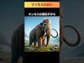 近い将来本物が見れるかも⁉マンモスの雑学