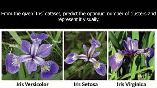 Use Scikit Learn - K Means Clustering Analysis with the Iris Data Set