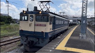 加速力がエグい！【EF65-2080  単機回送】国鉄EF65形2000番台2080号機（赤プレート・国鉄色）が倉賀野駅4番線を発車するシーン（臨単8877レ・新A53・石油輸送）2023.8.11