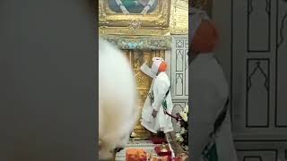 🙏 Amritvela Darshan 🙏Sri Hazur Sahib Nanded #shorts #gurbani #waheguruji #viral #status #amritvela