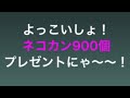 にゃんこ大戦争 無料でネコカン900貰う方法！ PONOSありがとうおおおおおおおおおおお！！