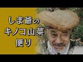 孫娘「かやたん」ときのこ狩り🍄夏のきのこ見つけられるかな？🤗