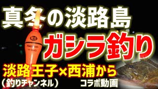 【淡路島カサゴ釣り】厳寒期の淡路島でガシラ釣り！【コラボ動画】