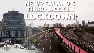 Inside Isolation: New Zealand's third week in lockdown | nzherald.co.nz