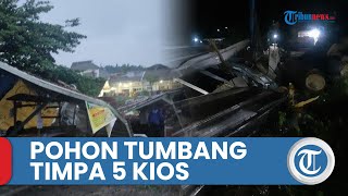5 Kios di Meteseh Tembalang Kota Semarang Tertimpa Pohon Tumbang, Pemilik Berikan Kesaksian