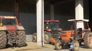 Agricoltori di Successo - L'Azienda Agricola Mazzolari