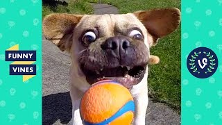 [30 MIN] TRY NOT TO LAUGH - Ultimate Funny Animals Videos & Cute Pets Compilation July 2018
