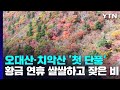 [날씨] 단풍전선 속속 남하...황금 연휴  쌀쌀하고 잦은 비 / YTN