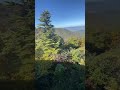 Shenandoah National Park, Autumn