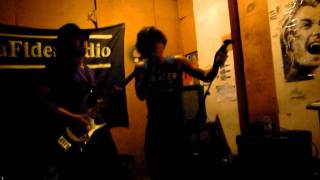 The Zodiatics - Can't Stop (red hot chilli peppers cover)