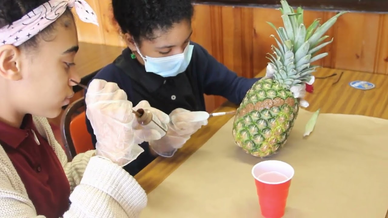 Fibonacci Sequence In Pineapples