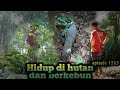 bau busuk menyengat dari hutan pemakaman rompok tua tertinggal warta petani muda hidup di hutan