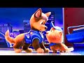 I cani più teneri di Paw Patrol 2 🌀 4K