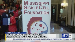 Mississippi lawmakers raise awareness about Sickle Cell Disease