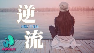 王澤科 - 逆流【動態歌詞 | Pinyin Lyrics】