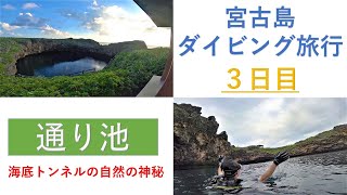 【沖縄ダイビングvlog】サラリーマン宮古島に行く(３日目) - 海底トンネルの自然の神秘 - 通り池ダイビング