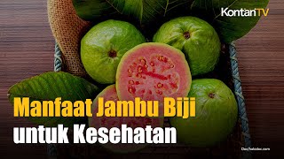 Cegah Diabetes hingga Kanker, Ini Deretan Manfaat Jambu Biji untuk Kesehatan | KONTAN News