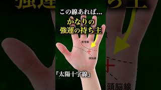 【手相占い】太陽十字線がある人は...かなりの強運の持ち主 #手相 #手相占い #shorts