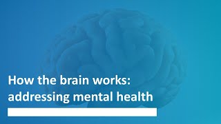 How the brain works: addressing mental health - Trinity Research Stories