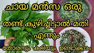 ചായ മൻസ | ഒരു പോഷക ഗുണമുള്ളതും നല്ല രുചിയും ഉള്ള ചീര | chaya mansa cheera | spinach | Amaan kitchen