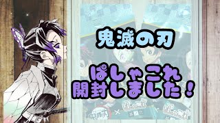 【鬼滅の刃】ぱしゃこれ第２弾1箱開封してみました！誰が出てきたでしょうか？？？アニメイトで購入したものも紹介します！