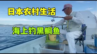 日本公公開船海釣，剛到海上就出狀況了，這次能順利釣到魚嗎？