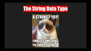 Learn to Code TypeScript Data Types
