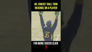 When Cricket Ball Takes Revenge On A Player | Most Funny Cricket Short Video | GBB Cricket