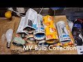 Mercury Vapour Bulb Collection!