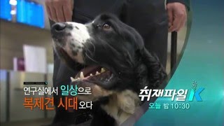 160417 취재파일K 예고 ㅣ KBS방송