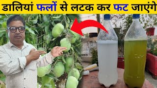 फूल और फल से पौधा भर जाएगा केवल एक स्प्रे से | Powefull organic fertilizer for plants | fertilizer