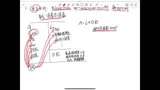 20241122比率分析1