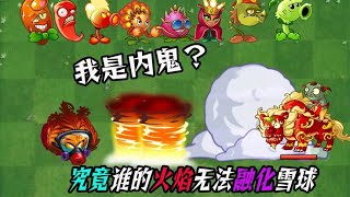 火系植物竟出现内鬼，究竟谁的火焰无法融化雪球？