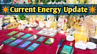 🌿❤Current Energy Update With Deep Messages❤🌿All Signs Collective Timeless Tarot Reading 🌈