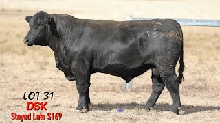 Lot 31 DSK Stayed Late S169