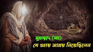 হিজরতের সময় নবী করিম (সা:), যে গুহায় আত্মগোপন করেছিলেন