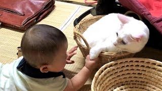 空いてるよ？　猫ちゃんと赤ちゃんはお友達90