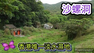 [ 香港行山郊遊 ]  :  沙螺洞