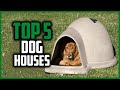 ✅Top 5 Best Dog Houses for Winter in 2023