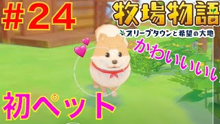 #24 ペットを飼おう！可愛すぎるわんちゃん🐶【牧場物語オリーブタウンと希望の大地】