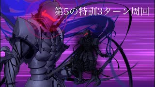 [FGO] 第五の特訓　聖女の教示6枚積み3ターン周回